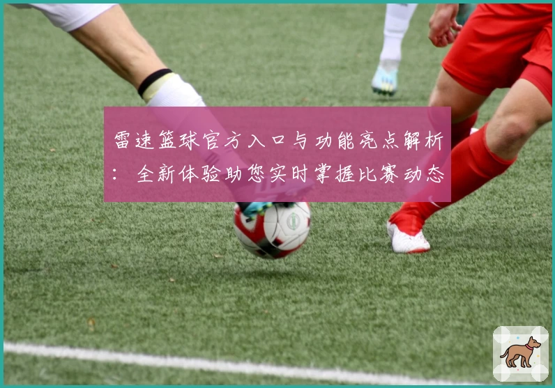 雷速篮球官方入口与功能亮点解析：全新体验助您实时掌握比赛动态